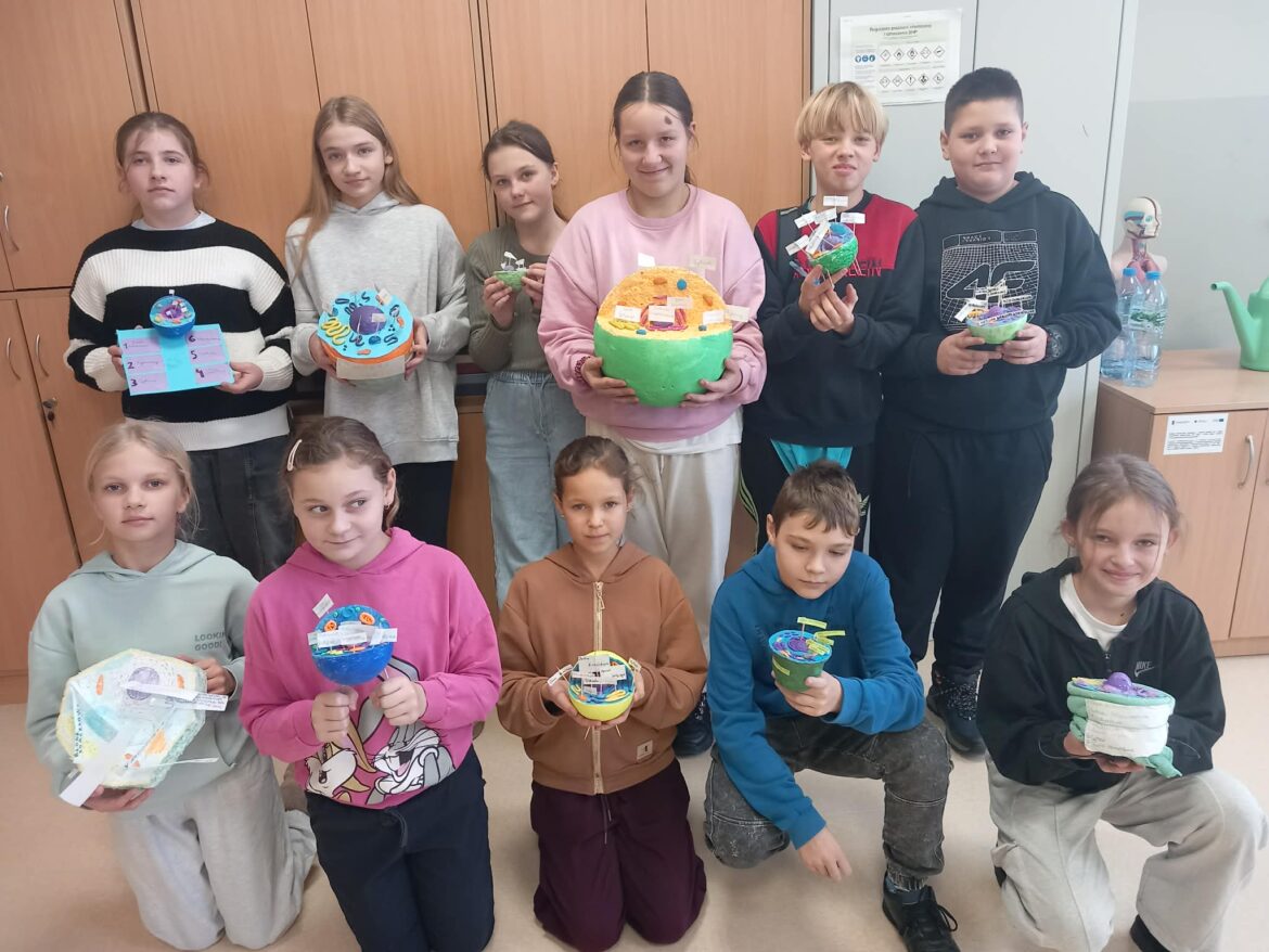 Lekcja z Biologii  – modele komórek roślinnych, zwierzęcych i bakteryjnych